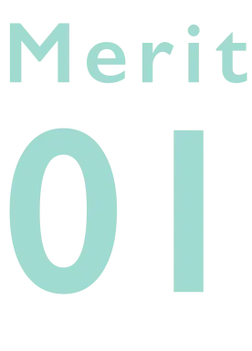 Merit01