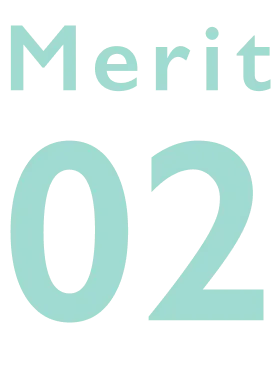 Merit02