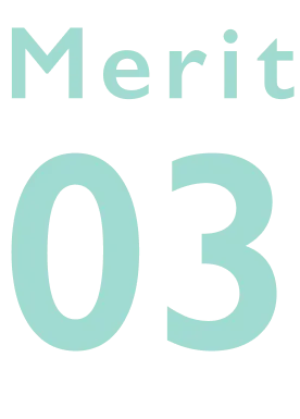 Merit03